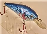 51k775FYlbL. SL160  L 1 Injured Shad Custom Lure   Bass Fishing Plug Crankbait Diver