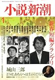 『小説新潮 2009年 01月号 [雑誌]』の写真