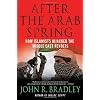 After the Arab Spring: How Islamists Hijacked The Middle East Revolts