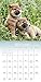 Puppies 2016 Calendar: Includes Downloadable Wallpaper