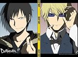 Durarara: Izaya and Shizuo Close Up Wall Scroll