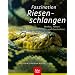Faszination Riesenschlangen: Mythos, Fakten und Geschichten