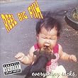 Everything Sucks by REEL BIG FISH 【並行輸入品】
