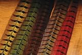 Ringneck Pheasant Tail Feathers