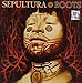 Soulfly - The Song Remains Insane