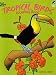 Tropical Birds Coloring Book (Dover Nature Coloring Book) by Lucia deLeiris, Coloring Books
