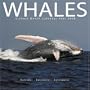 Whales 2008 Wall Calendar (English, Spanish, French, Italian and German Edition)