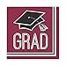 Hoffmaster Group 320042 2 Ply School Spirit Burgundy Lunch Napkin44; Pack of 10-36 Per Pack