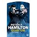 Greg Mandel, tome 2 : Quantum