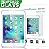 amFilm iPad Mini 4 Tempered Glass Screen Protector 0.33mm 2.5D Rounded Edge for Apple iPad Mini 4 2015 (1-Pack)
