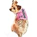 Doggie Design Cool Mesh Dog Harness Under the Sea Collection - Sunglasses Pink and Black (S)