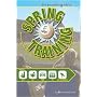 The Complete Guide to Spring Training, Second Edition