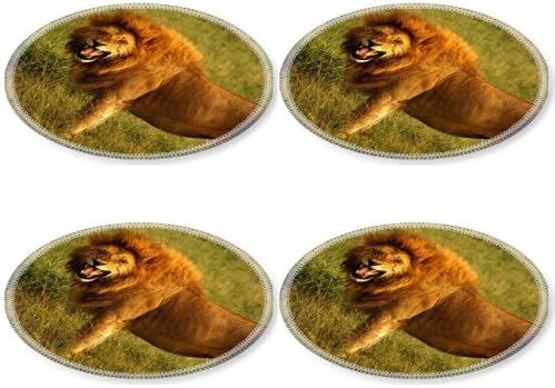 Leopard Lion King Wildlife Savanna Grassland Animal Predator Round Coaster (4 Piece) Set Fabric Rubber 5 Inch Size Liil Coaster Cup Mug Can Water Bottle Drink Coasters Stain Resistance Collector Kit Kitchen Table Top Desk