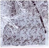 Ameristep Snow Cover for Doghouse Blind by Ameristep
