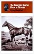 The American Quarter Horse in Pictures