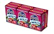 Champion Antioxidant Booster Pack (1-Ounce), 6-Count Boxes (Pack of 12)