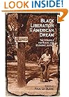 Black Liberation and the American Dream: The Struggle for Racial and Economic Justice : Analysis, Strategy, Readings (Revolutionary Studies)