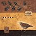Wood Thrush Fine Art Print / Poster 12.00 x 12.00 in.