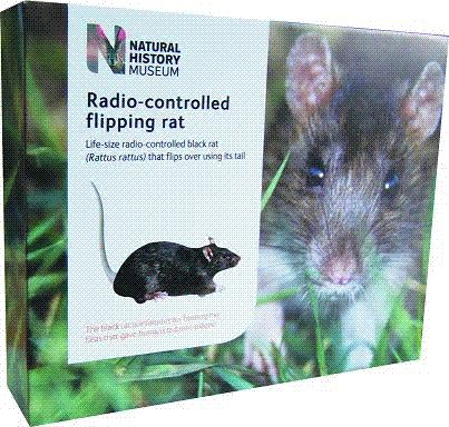 Childrens Toyshop  Toys : Natural History Museum - Flipping Rat