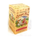 hausgemachte Limonade GINGER BEER KIT