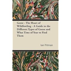 Geese - The Heart of Wildfowling - A Guide to the Different Types of Goose and What Time of Year to Find Them