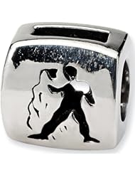 Reflection Beads Silver Aquarius Zodiac Bead