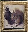 Dollhouse Artwork Framed Print of Squirrels by Durer