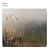 Fabric 42