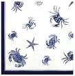 Durable Hand Woven 100% Cotton Silk Screen Print Nautical Tablecloth 60x60