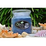 Soy Simplicities - Ocean Breeze Soy Wax Candle - in an 18 Ounce Apothecary Jar