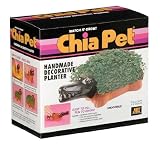 Chia Crocodile
