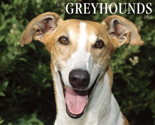 Just Greyhounds 2012 Calendar (Willow Creek))