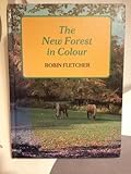 The New Forest in colour