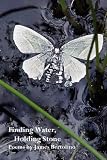 Finding Water, Holding Stone