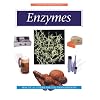 Enzymes Handbook (Eagan Press Handbook Series)