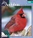 Buffalo Games Audubon: Winter Cardinal III