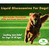 Liquid Glucosamine For Dogs Also Contains Chondroitin, MSM & Grape Seed Extract - Natural Anti-Inflammatory Pet Supplements - Benefits Include Canine Arthritis, Joint Pain & Hip Dysplasia Relief, Cartilage Repair, & Skin/Coat Health - Made In The USA