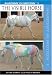 The Visible Horse: Anatomy in Motion 1