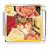Animal Photo Cat Bouquet Italian Charms Bracelet Link