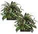 TWO Pre-Potted 12" Croton Pothos Mixed Artificial Plants for Home Decoration
