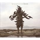 Rook