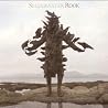 Image de l'album de Shearwater