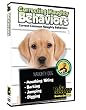 Dog & Puppy Training DVD: Correcting Naughty Behaviors! Stop the Biting, Digging & Barking!
