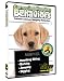   - Dog & Puppy Training DVD: Correcting Naughty Behaviors! Stop the Biting, Digging & Barking!