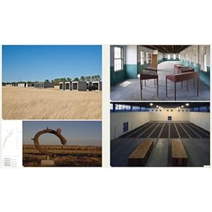 Art & Place: Site-Specific Art of the Americas