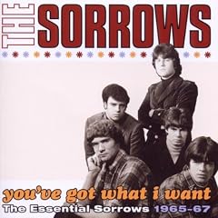 You've Got What I Want - The Essential Sorrows 1965-67