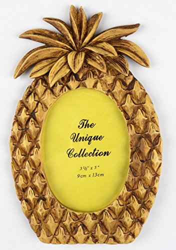 Pineapple Photo Frame