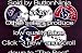 Set of 5 Houston Texans Pins 1.25