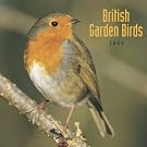 British Garden Birds...