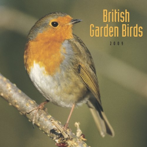 British Garden Birds 2009 Square Wall Calendar